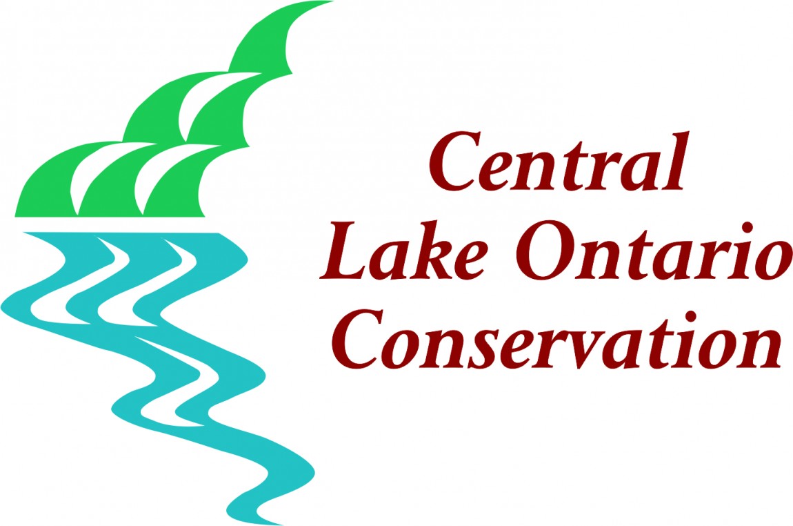 Central-Lake-Ontari-CA-solid-logo-colour-600dpi.jpg