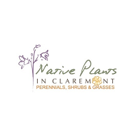 NATIVE_PLANTS_CLAREMONT.png