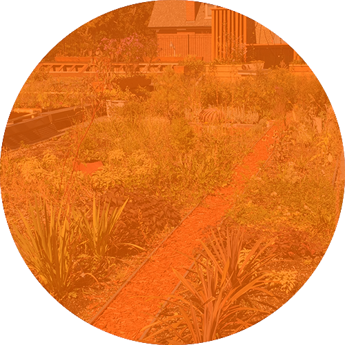O500-urban-agri-color.png