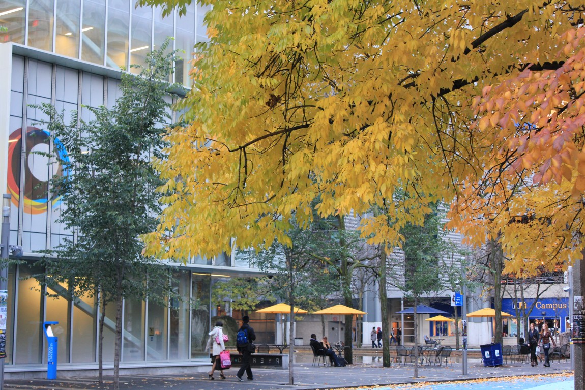 2_UrbanForest_Circle_Yellow.jpg