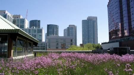 5_GreenRoofs_Circle_Purple.jpg