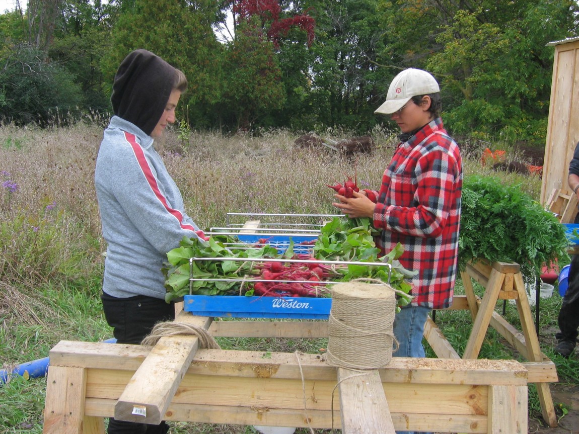 RS3900_052-03_McVean-Farm2-Humber-lpr.jpg