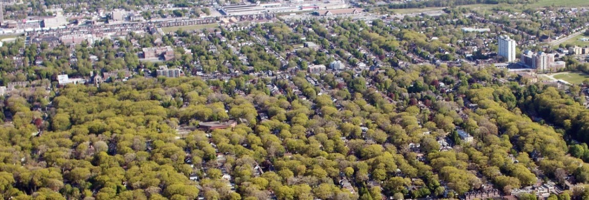 URBAN_FORESTRY_TORONTO_EASTEND_AERIAL_CROP.jpg