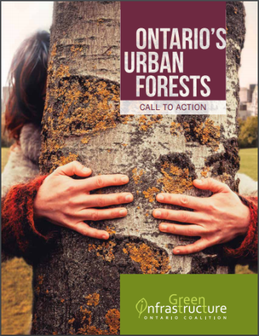URBAN_FOREST_CALL_TO_ACTION_THUMBNAIL