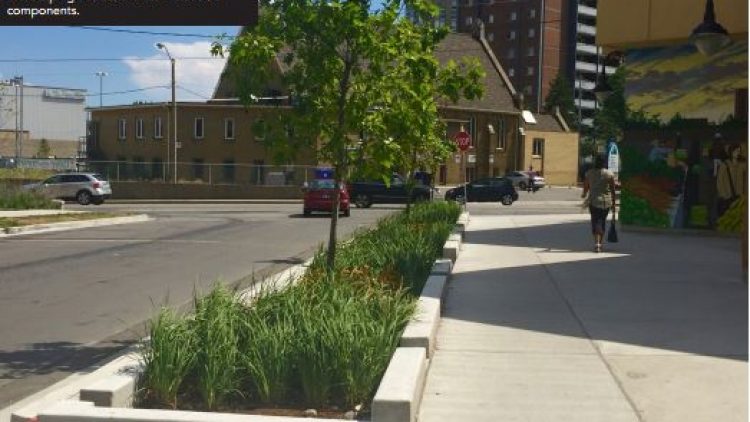 Complete Streets Include Green Infrastructure