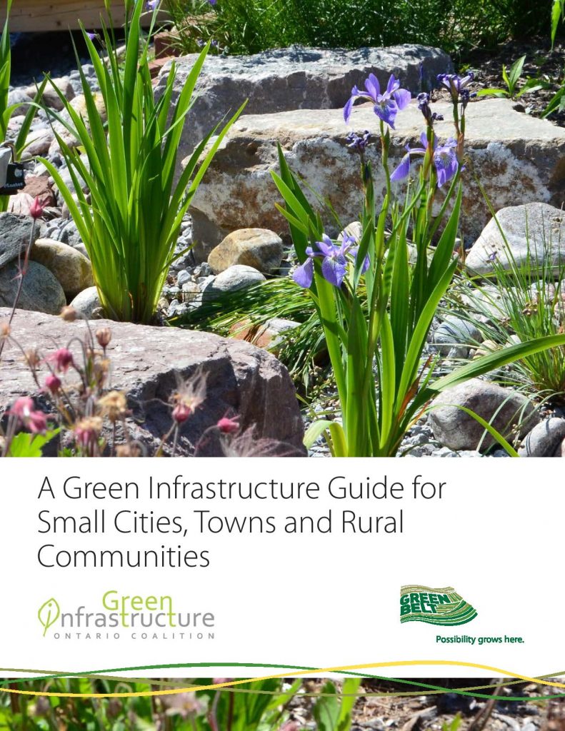 A Green Infrastructure Guide for Small Towns, Communities and Rural Settlements