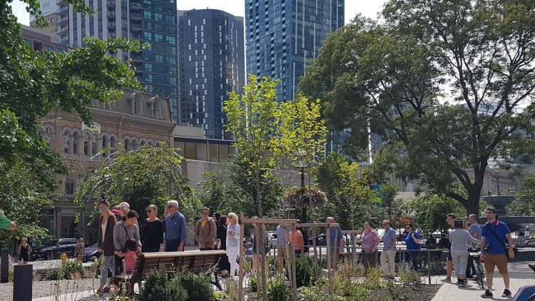 Spotlight on research: green infrastructure in leading cities, provisioning services of NYC’s urban forest, mapping green infrastructure and evaluating the benefits of green infrastructure