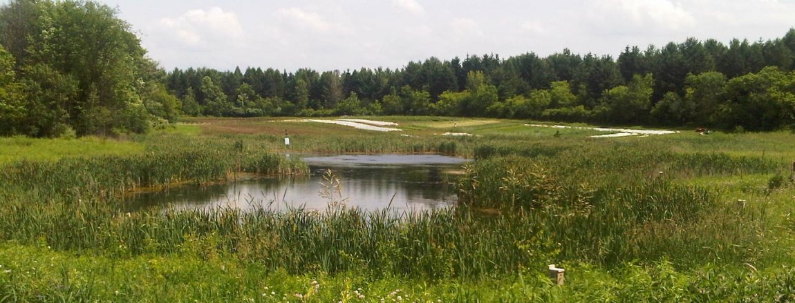 kortright-farm-june-2011.jpg