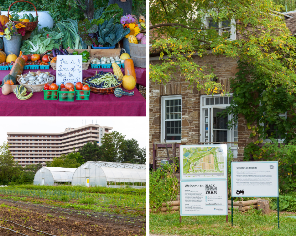 Black-Creek-Community-Farm-1.png