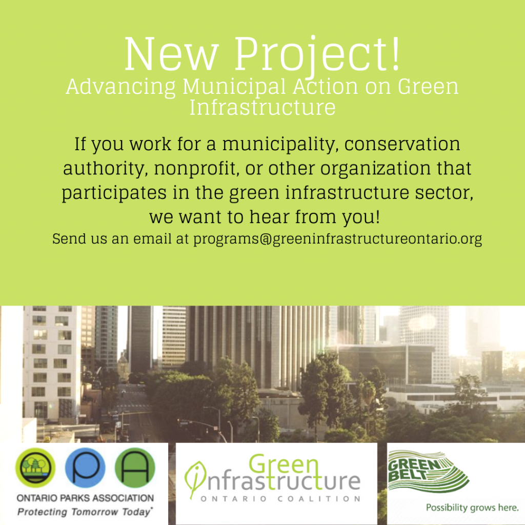 Advancing Municipal Action on Green Infrastructure