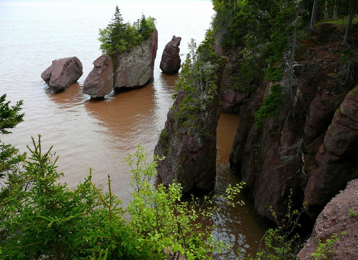 hopewell-rocks-54993_1920.jpg