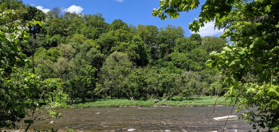 humber-river-toronto-june-2019.jpg