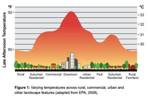 image-1 – Green Infrastructure Ontario