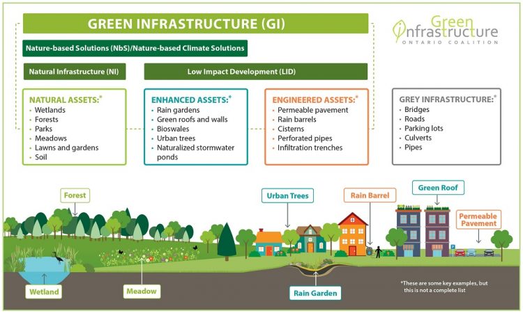 What Is Green Infrastructure Green Infrastructure Ontario   GIO Green Infrastructure Gfx2 Aug2021 750x450 